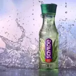 Saviloe