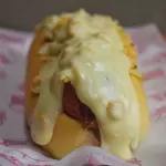 Perro Suizo