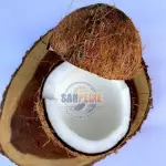 COCO SECO RALADO