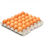 HUEVOS- PLANCHA