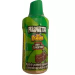 Peloneta del Puesto de Tamarindo