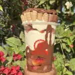 Strawberry pirulín relleno de nutella 16 onz