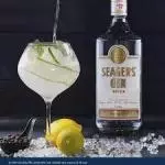 GIN TONICA NACIONAL