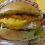 X- frango - simples