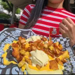 CHICKEN FRIES🍟