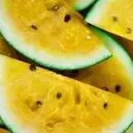 SANDIA AMARILLA  UND