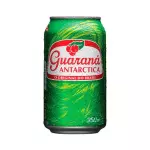 Antartic em Lata 350ml