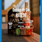 Combo de Gin Krone
