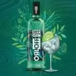GIN ORLOFF DRY (DOSE)