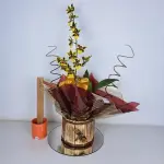 A464 Orquídea Colmanara "Sofisticada