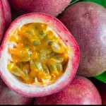 Maracuya