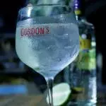 Gin Tonic Gordons