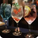 Gin Tônica Importada