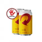 SKOL LATA 350 ML
