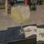 GIN TÔNICA CLASSIC