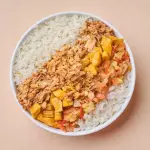 Tazon pulled pork