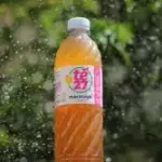 TE 27 MARACUYA CERO