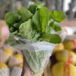 Rúcula fresca