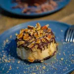 NY Turtle Cheesecake Ind