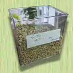 LENTILHA (50G)