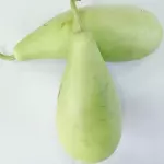 葫芦瓜 calabacín