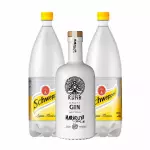 Combo Gin Runa Maracuyá y Miel