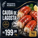 Cauda de Lagosta MEDIA