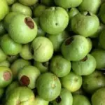 CAS EMPACADO 1 KILO