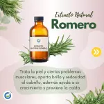 EXTRACTO HG ROMERO