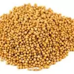 94 - Mostarda em Grãos (100g)