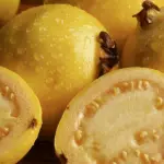 Guayaba