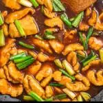 Mongolian Chicken