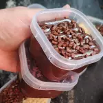 Brigadeiro de colher