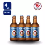 4 Chopinho Antarctica