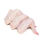 ALITA JUMBO CRIO