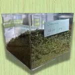 CAMOMILA (50G)