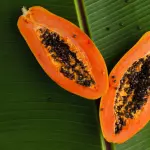 Papaya