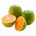 LARANJA PERA AGROECOLÓGICA
