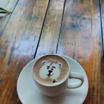 Mocaccino
