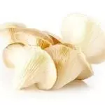 Seta Blanca