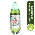 Ginger Ale 2.5L