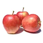 Maçã Gala 0500g