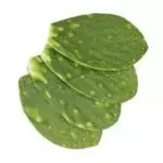 Nopal