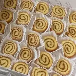 PIONONITOS