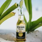 Corona Long Neck