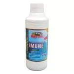 Xaropinho Imune Pulmonar RT 250g