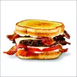 SANDWICH BURGUER