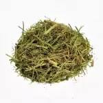 Melão de São Caetano