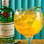 GIN TROPICAL