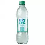 H20